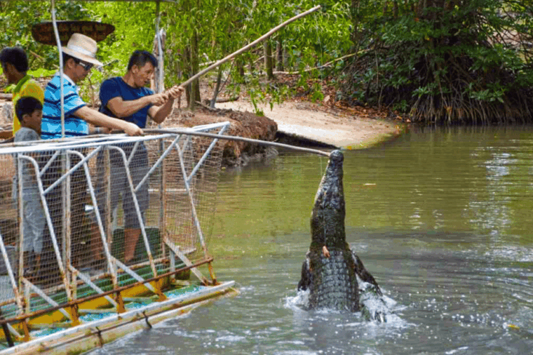 from-ho-chi-minh-city-group-tour-can-gio-mangrove-forest