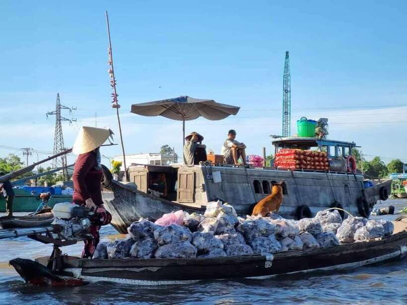 from-ho-chi-minh-city-mekong-delta-2d1n-with-3-star-hotel