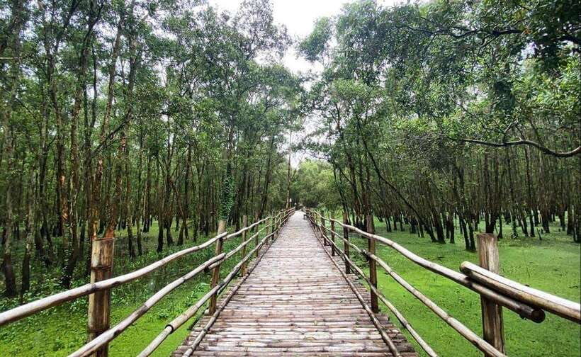 from-ho-chi-minh-mekong-delta-3-days_-tra-su-forest
