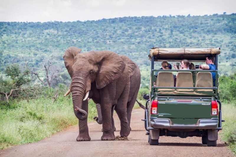 from-johannesburg-pilanesberg-wildlife-safari