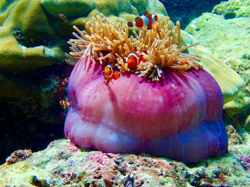 from-ko-libong-laoliang-islands-private-tour