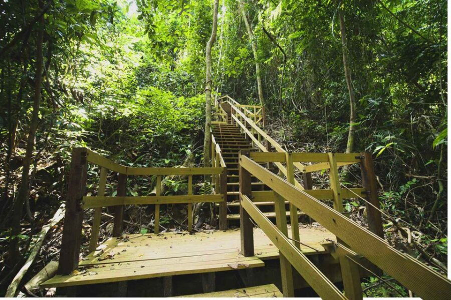 from-krabi-khao-ngon-nak-trekking-experience