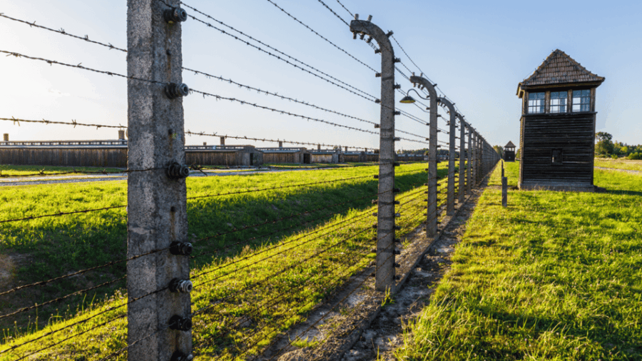 from-krakow-auschwitz-birkenau-guided-tour-guaranteed-time