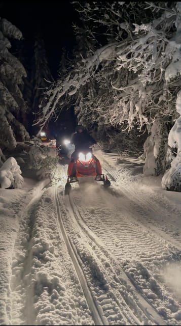 from-krakow-zakopane-snowmobile-night-ride-bonfire
