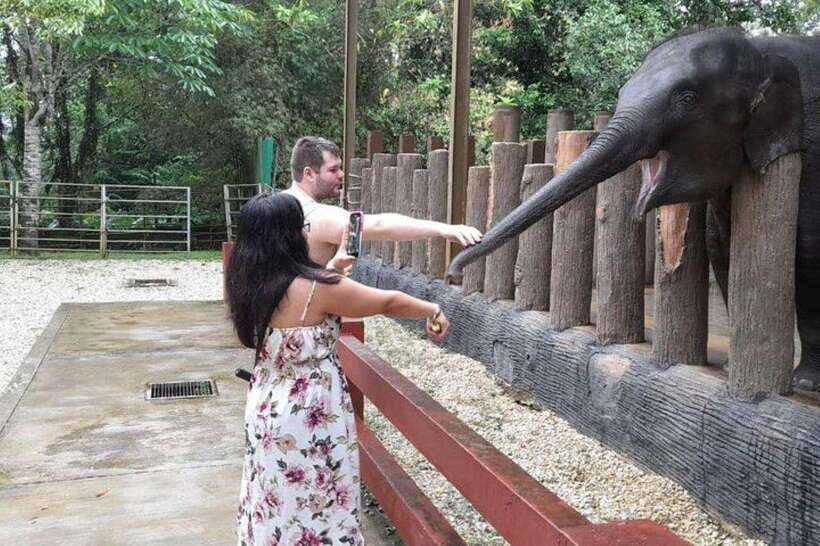 from-kuala-lumpur-kuala-gandah-batu-caves-day-trip