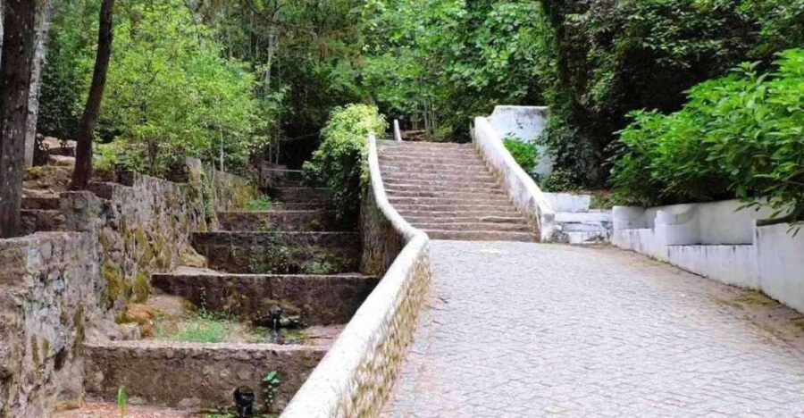 from-lagos-private-tour-with-medronho-tasting