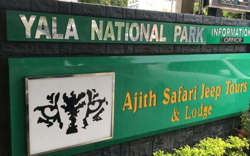 from-mirissa-matara-udawalawe-safari-to-ella