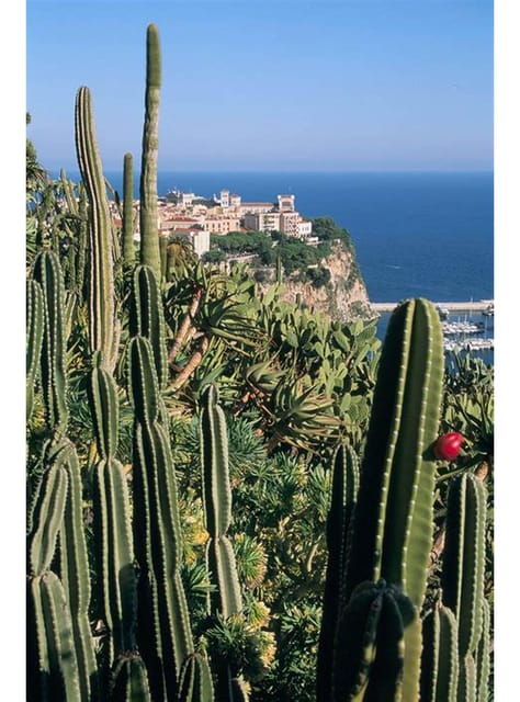 from-nice-monaco-monte-carlo-eze-full-day-tour