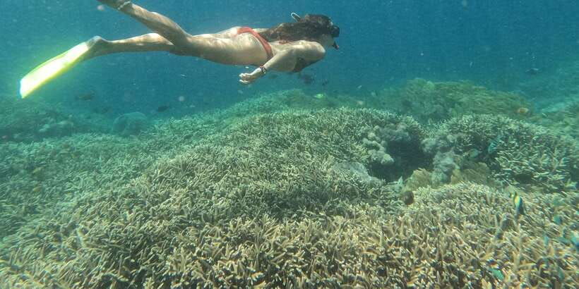 from-nusa-penida-3-spots-snorkeling-tour-with-manta-rays