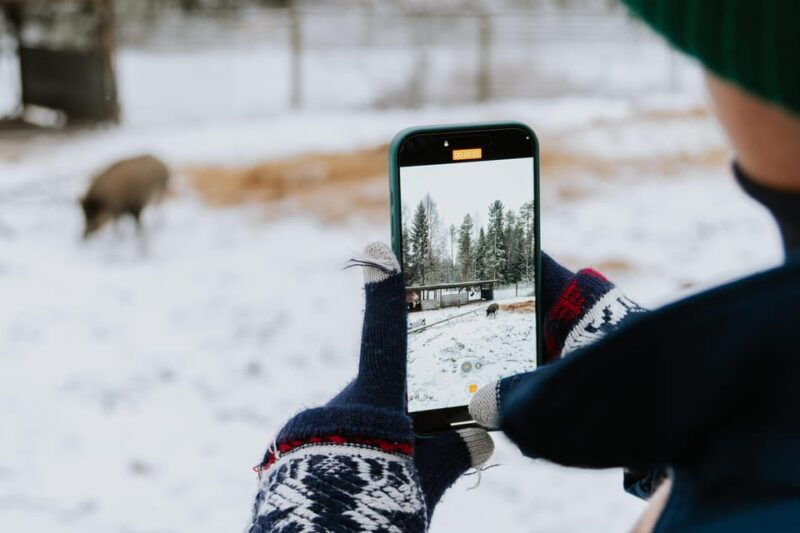 from-rovaniemi-family-friendly-visit-to-ranua-wildlife-park