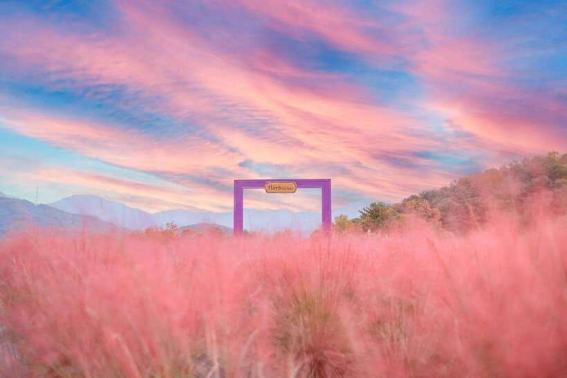 from-seoul-pocheon-sanjung-lake-and-bidulginang-fall-trip