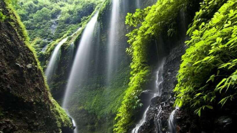 from-surabaya-malang-mount-bromo-and-madakaripura-day-tour