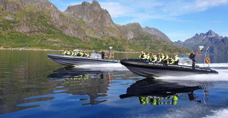 from-svolvaer-trollfjorden-wildlife-rib-cruise
