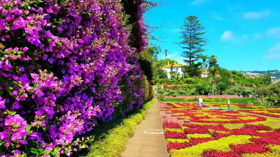 funchal-madeira-botanical-garden-private-tuk-tuk-tour