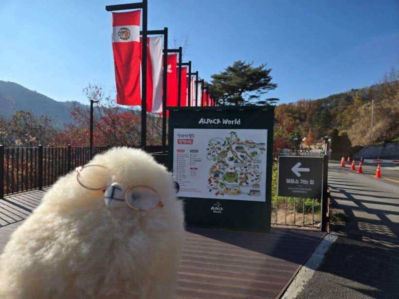 gangwon-2d1n-trip-chuncheon-hongcheon-with-accommodation