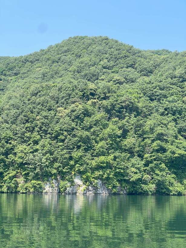 gapyeong-day-trip-river-cruise-to-walk-around-jarasum