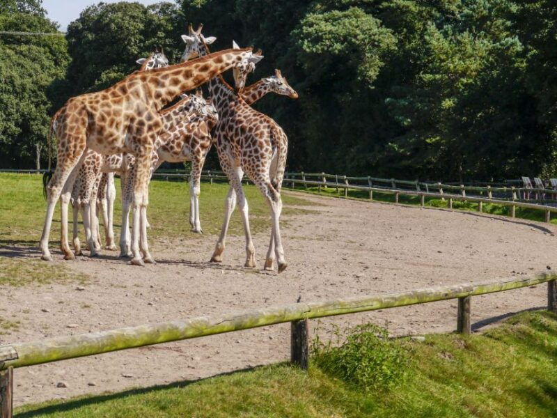 gdansk-oliwa-zoo-with-tickets-and-roundtrip-transportation