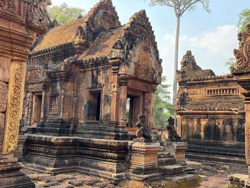 guided-tour-of-angkor-wat-bayon-ta-prohm-and-banteay-srei