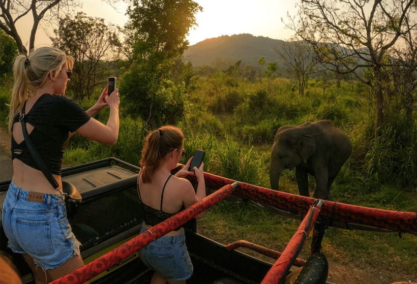 habarana-hurulu-eco-park-half-day-safari-with-hotel-pickup