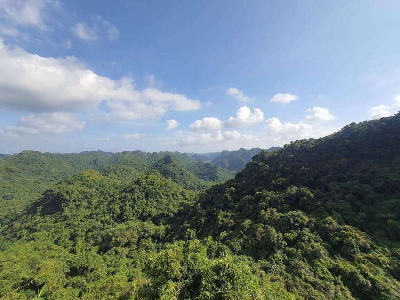 half-day-hiking-to-cat-ba-national-park-with-a-guide