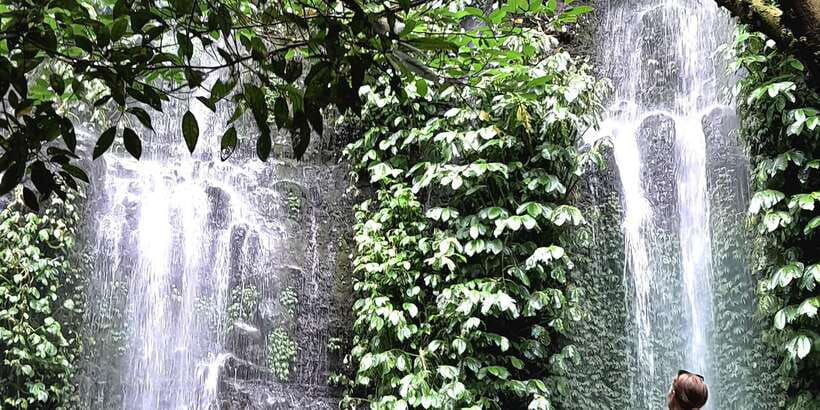 half-day-trip-to-the-waterfall-rice-fields