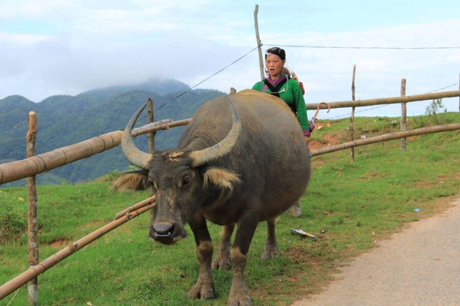 hanoi-3-day-sapa-trek-with-homestay