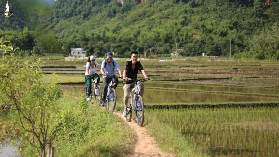 hanoi-cycling-tour-of-hoa-lu-trang-an-with-meals-and-guide