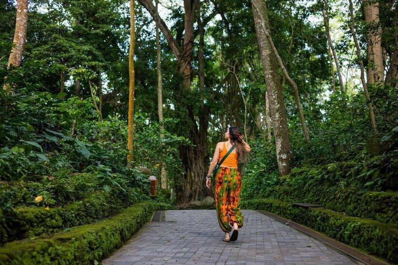 heart-of-ubud-culture-nature-scenic-wonders