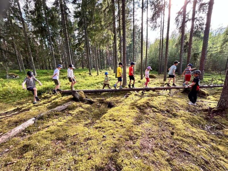 helsinki-guided-nature-experience-with-campfire-and-meal