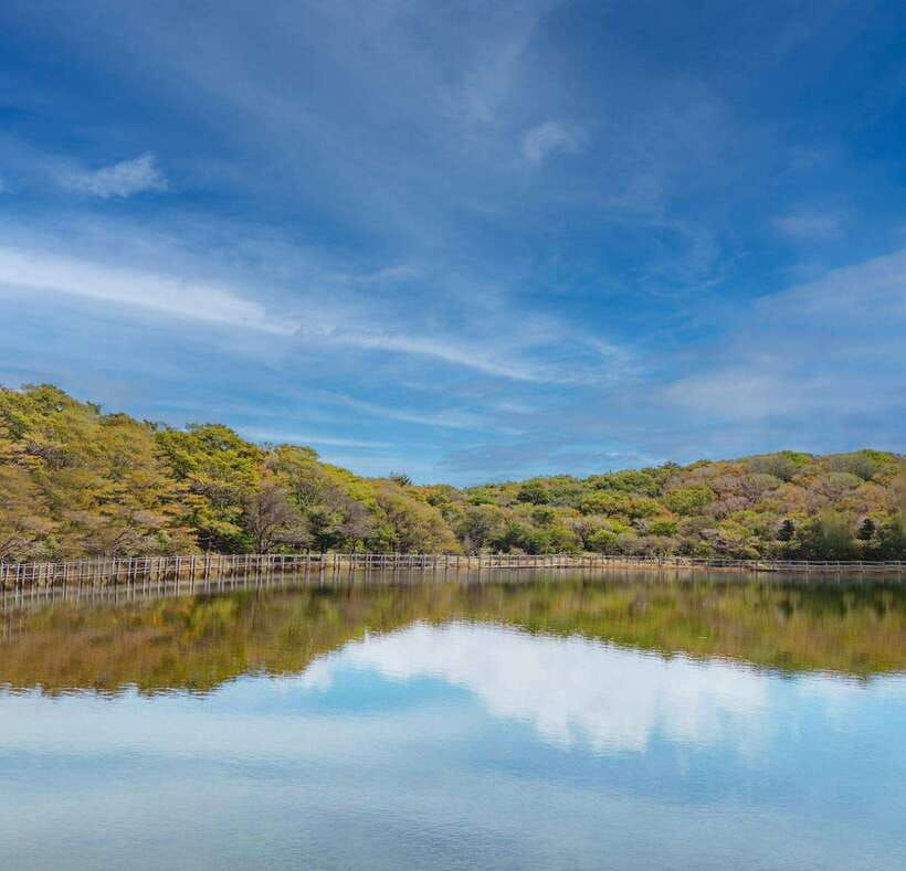 herb-island-sanjung-lake-strawberry-bidulginang-tour