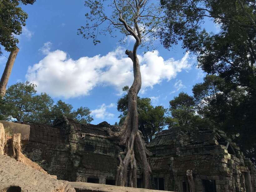 highlights-of-angkor-wat-ta-prohm-angkor-thom