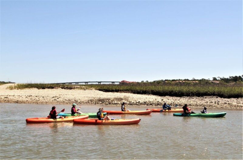hilton-head-island-guided-kayak-tour-with-coffee