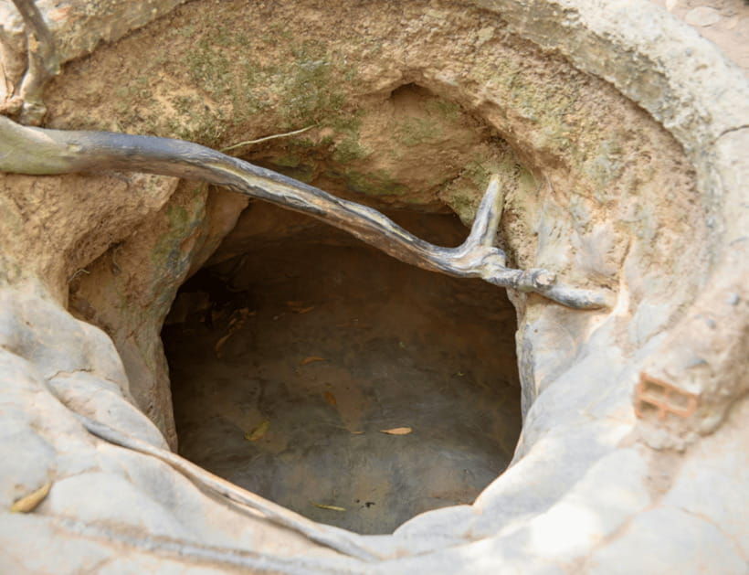 ho-chi-minh-cu-chi-tunnels-and-mekong-delta-private-tour