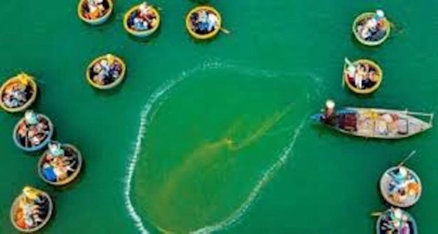 hoi-an-cam-thanh-basket-boat-riding-with-two-way-transfers