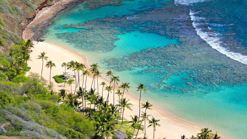 hoi-an-cham-island-speedboat-day-trip