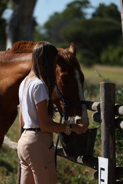 horse-sanctuary-in-rome