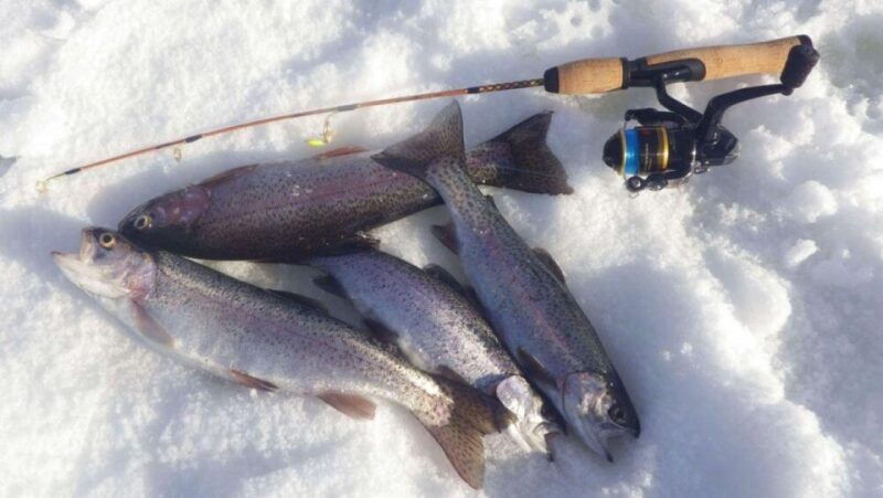 ice-fishing-adventure-in-levi-with-salmon-soup