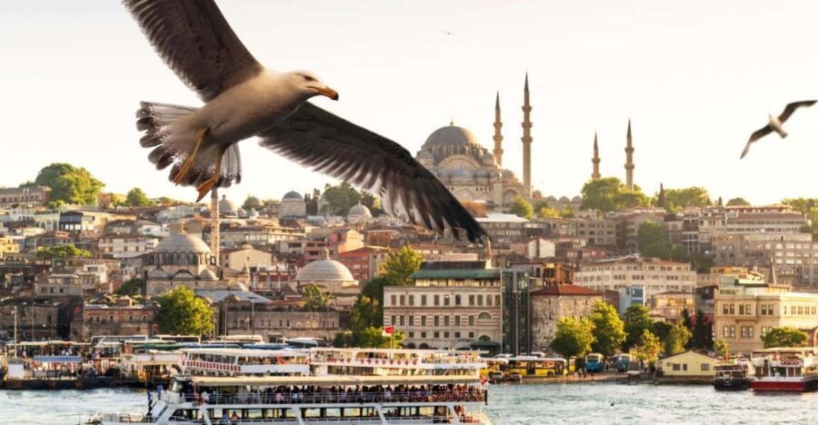 istanbul-bosphorus-morning-sunset-cruise-with-optional-stop