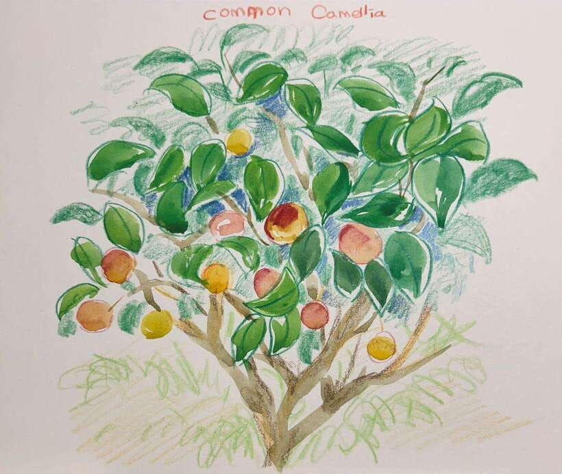 jeju-art-escape-explore-create-inspire