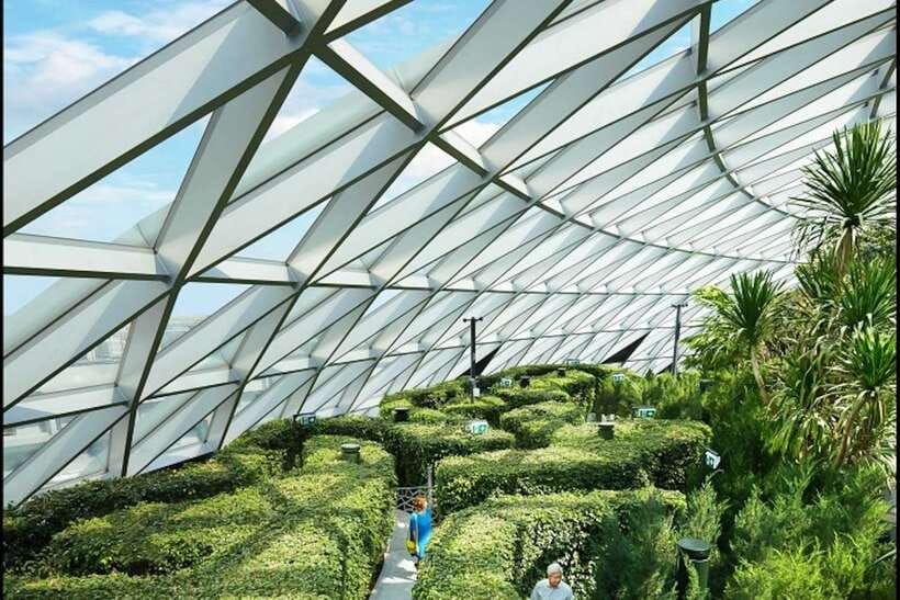 jewel-changi-airport-hedge-maze-and-canopy-park-ticket