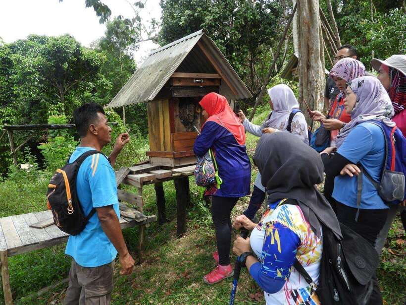 johor-belungkor-hill-hiking-tour
