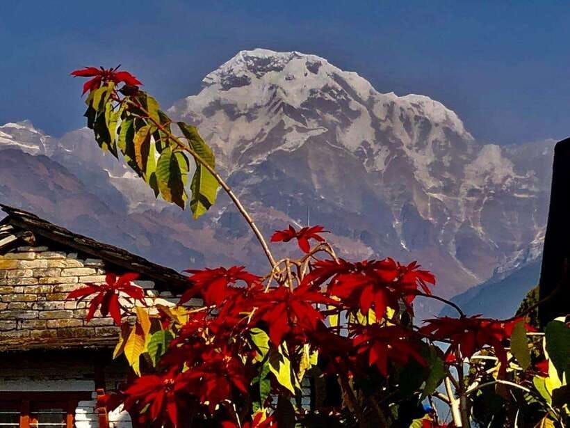 kathmandu-rapid-ghorepani-poon-hill-trek-with-guide