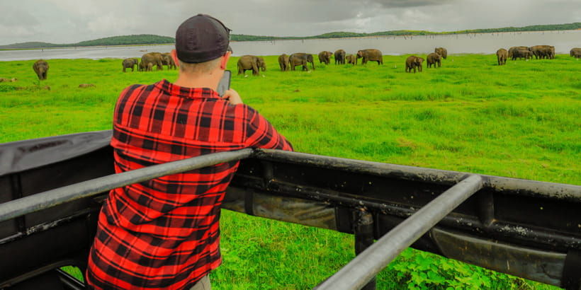 kaudulla-national-park-half-day-sri-lanka-jeep-safari