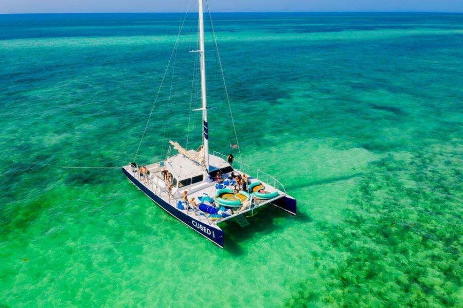 Key West: Afternoon Catamaran Sail and Dolphin Watch