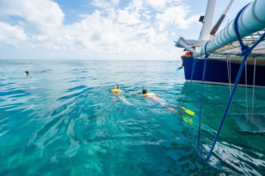 Key West: Afternoon Reef Snorkel Tour With Open Bar