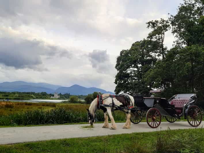 killarney-national-park-ross-castle-jaunting-car-tour
