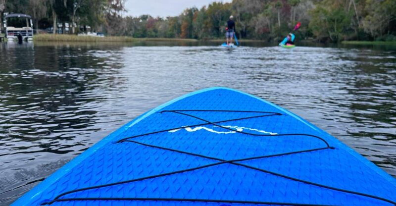 kings-bay-three-sisters-self-guided-tour-clearbottom-kayak