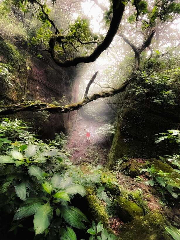 knuckles-5-peaks-trek-leopard-trail