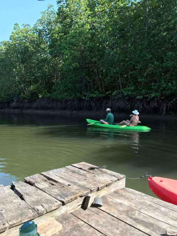 ko-lanta-half-day-mangrove-kayaking-tour-with-lunch