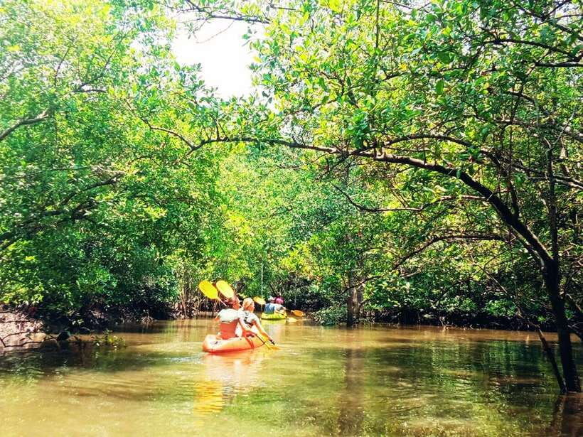 ko-lanta-half-day-mangrove-kayaking-with-lunch